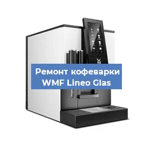 Замена счетчика воды (счетчика чашек, порций) на кофемашине WMF Lineo Glas в Челябинске